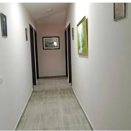 Guest Tirana